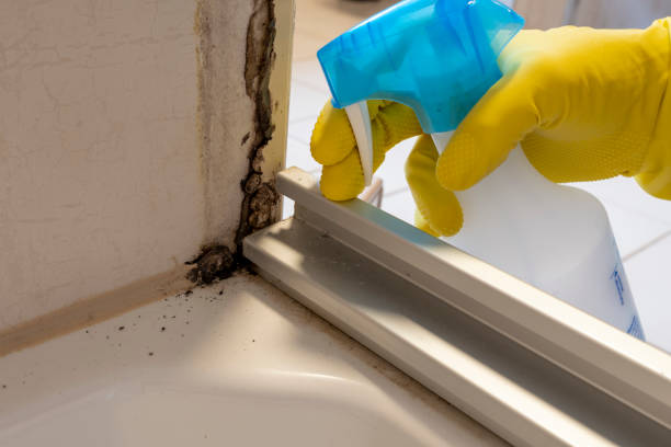 Best HVAC Mold Remediation in Gooding, ID